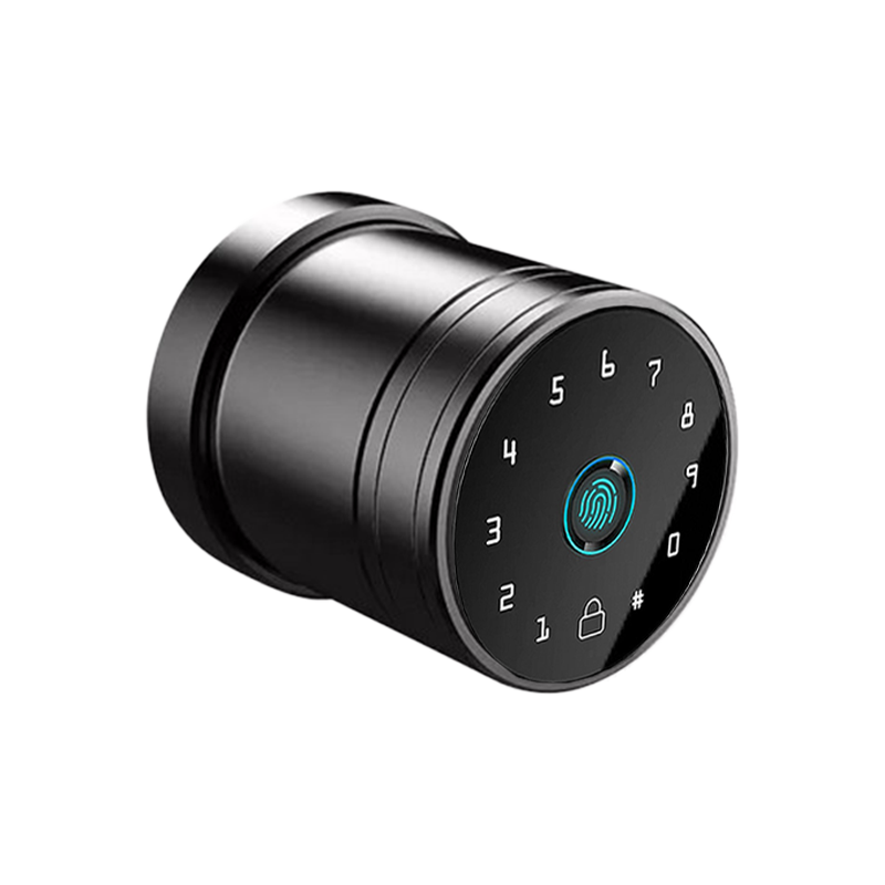 Mini Cerradura Inteligente PRO