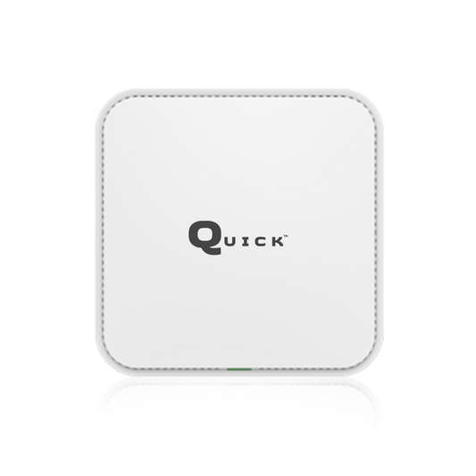 AP 3000 WiFi 6 Dual Band