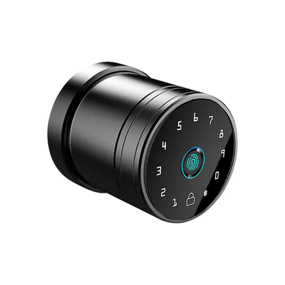 Mini Cerradura Inteligente PRO